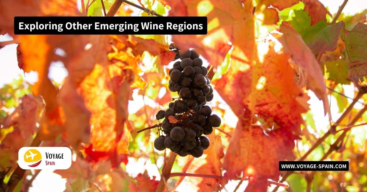 Exploring Other Emerging Wine Regions
