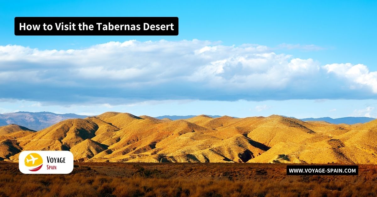 How to Visit the Tabernas Desert