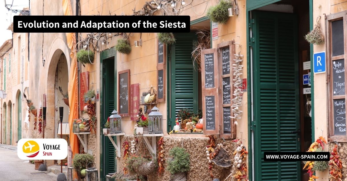 Evolution and Adaptation of the Siesta