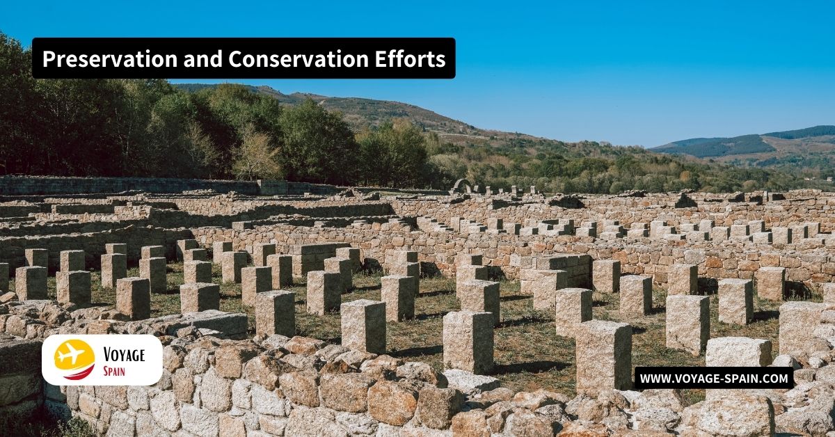 Preservation and Conservation Efforts